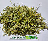 Риб'ячий жир (очищений) для здоров'я 250 мл., фото 2