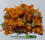 Мазь "Арніка" 100 мл., фото 2