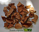 Екстракт чорного горіха (Black Walnut Hull Extra Strength) 100 мл, фото 3