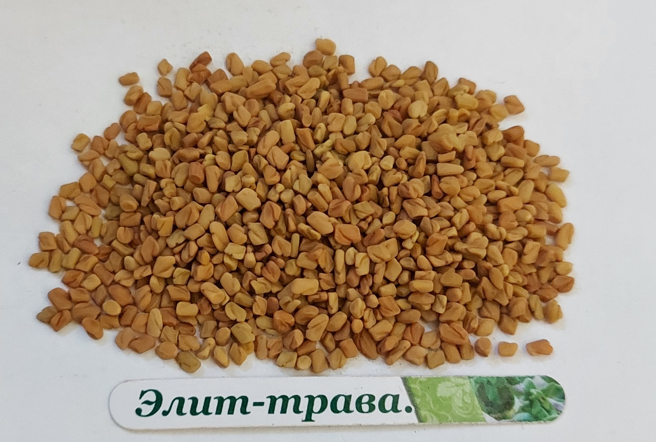 Пажитник, фенугрек цілий (Buceras)100 грам, фото 1