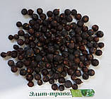 Настоянка на нирках каштана 100 мл., фото 2