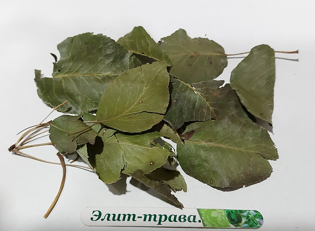 Листя груші (дикої груші) 50 грам