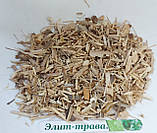 Настоянка на нирках бузку 100 мл., фото 2