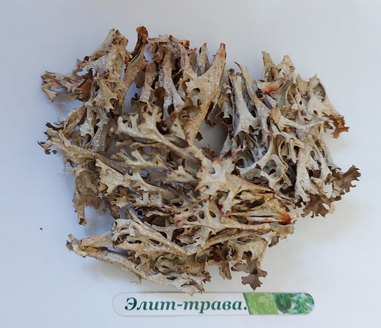 Ісландський мох (цетрарія) 50 грам,