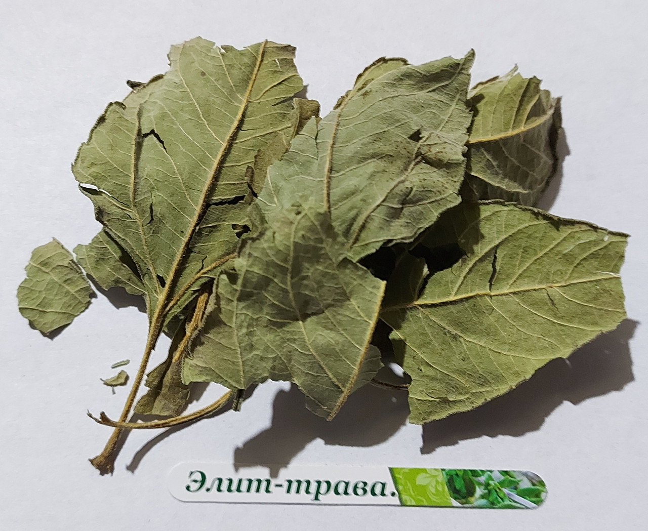 Топінамбур лист (земляна груша) 100 грам