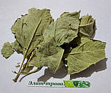 Авеніцетин на основі вівса 30 табл., фото 3