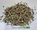 Фітосироп «Монастирський» для здоров’я щитовидної залози 200 мл., фото 2