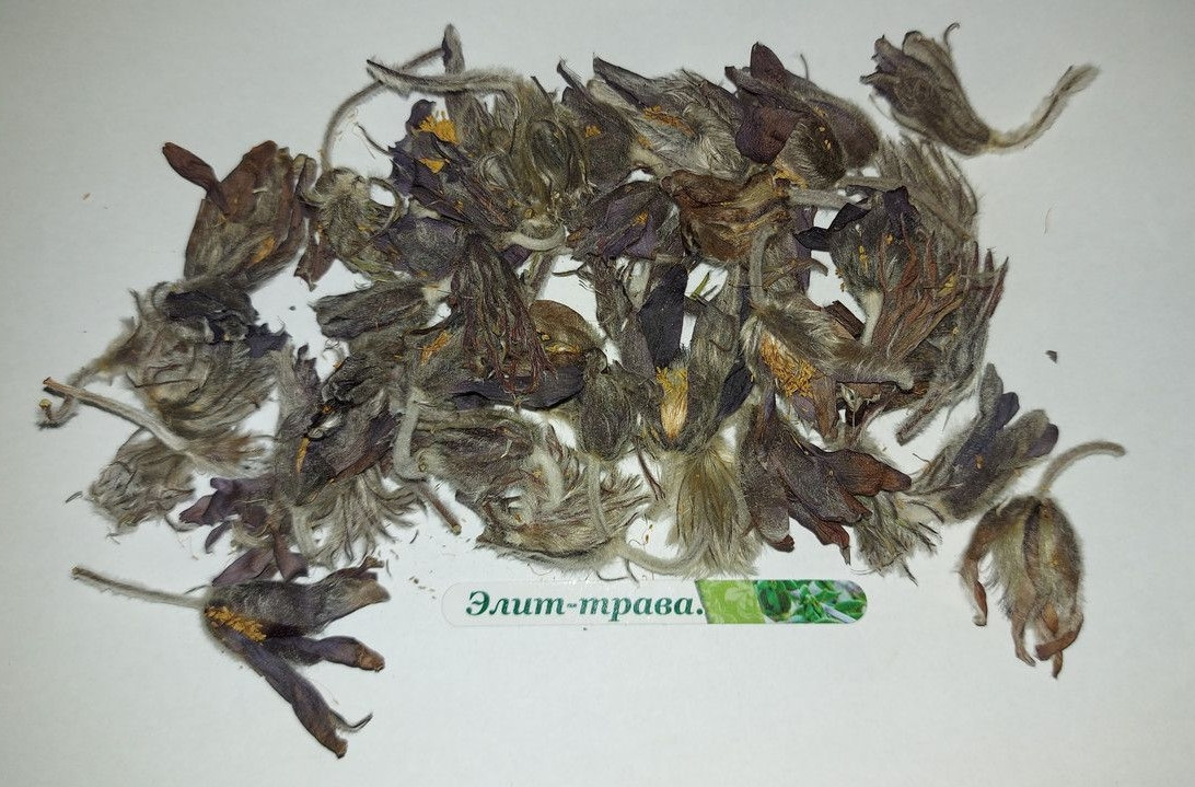 Простріл розкриті  трава (сон трава)  100 грам