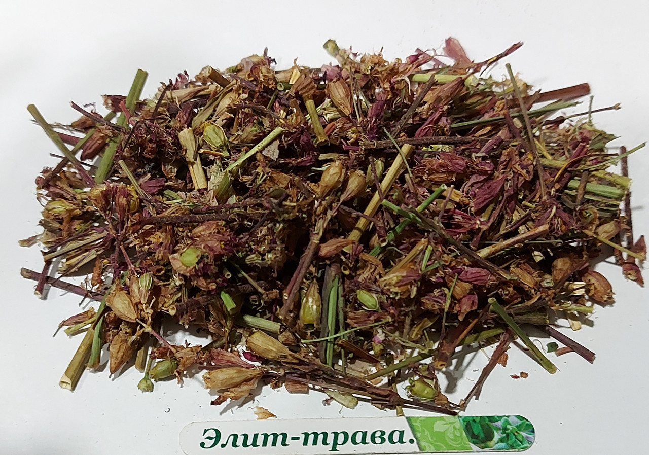 Смолка звичайна трава 50 грам