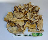 Крем для ніг з екстрактами п'явки і бодяги 75 мл., фото 2