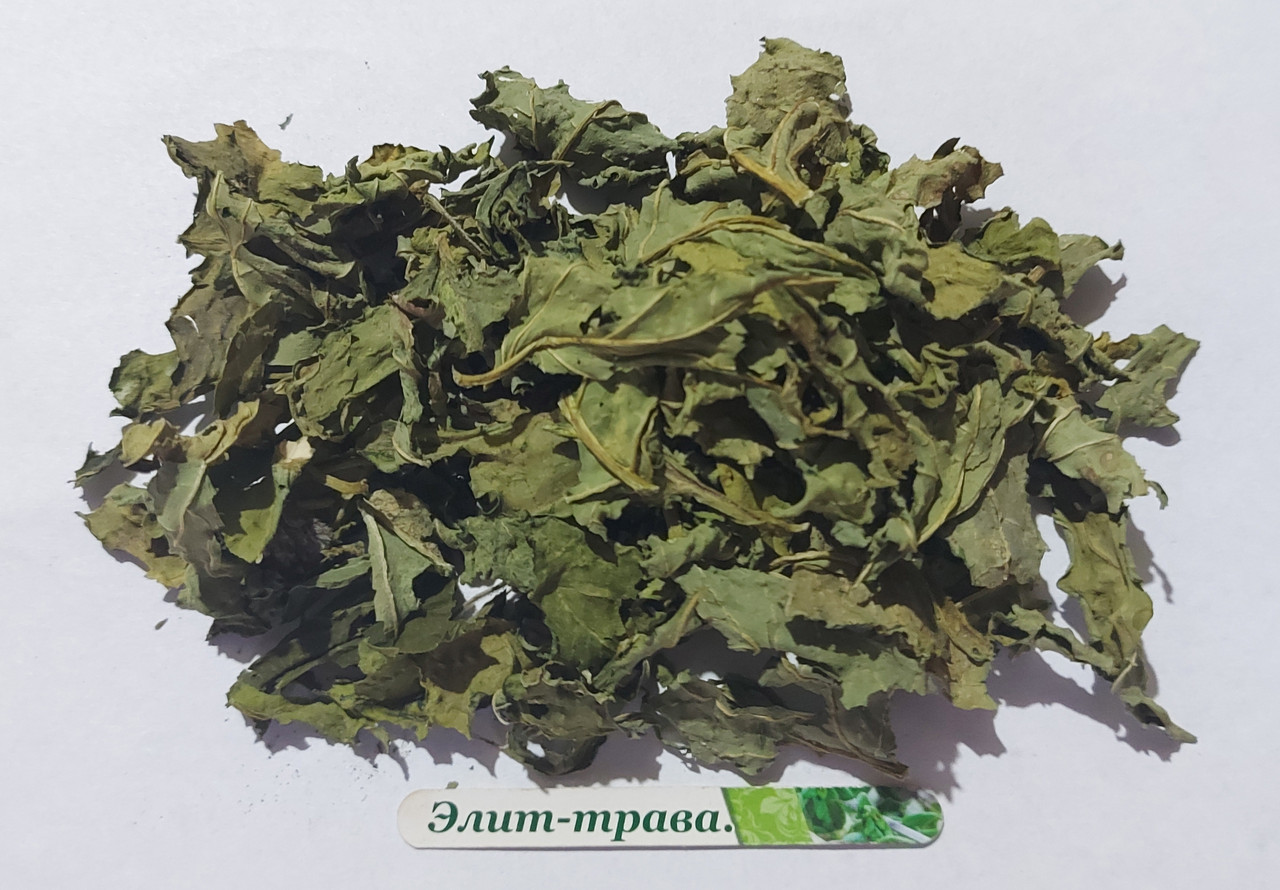 Дурман листя (дурма трава) 50 грамів