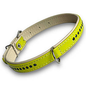 Нашийник зі стразами для собак. Шкіряний нашийник зі стразами для собак подвійний 20 мм, обхват шиї 30-40 см Салатовий