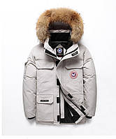 Куртка пуховик мужская зимняя натуральная ''Down Jacket'' (до -30 С) светло-серая 2XL