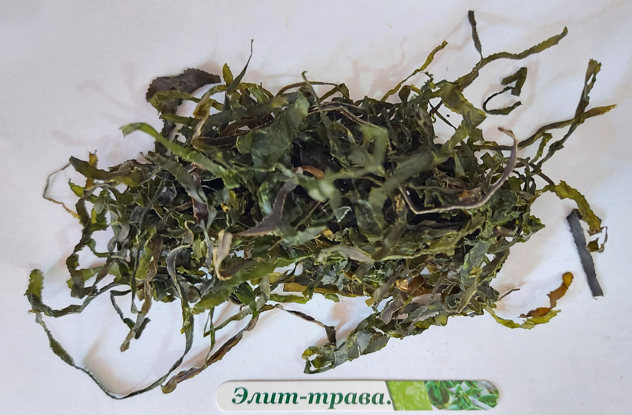 Морська капуста Сублімована (ламінарія)50 грам