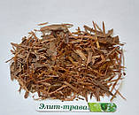 Катуаба кора 100 гр., фото 2