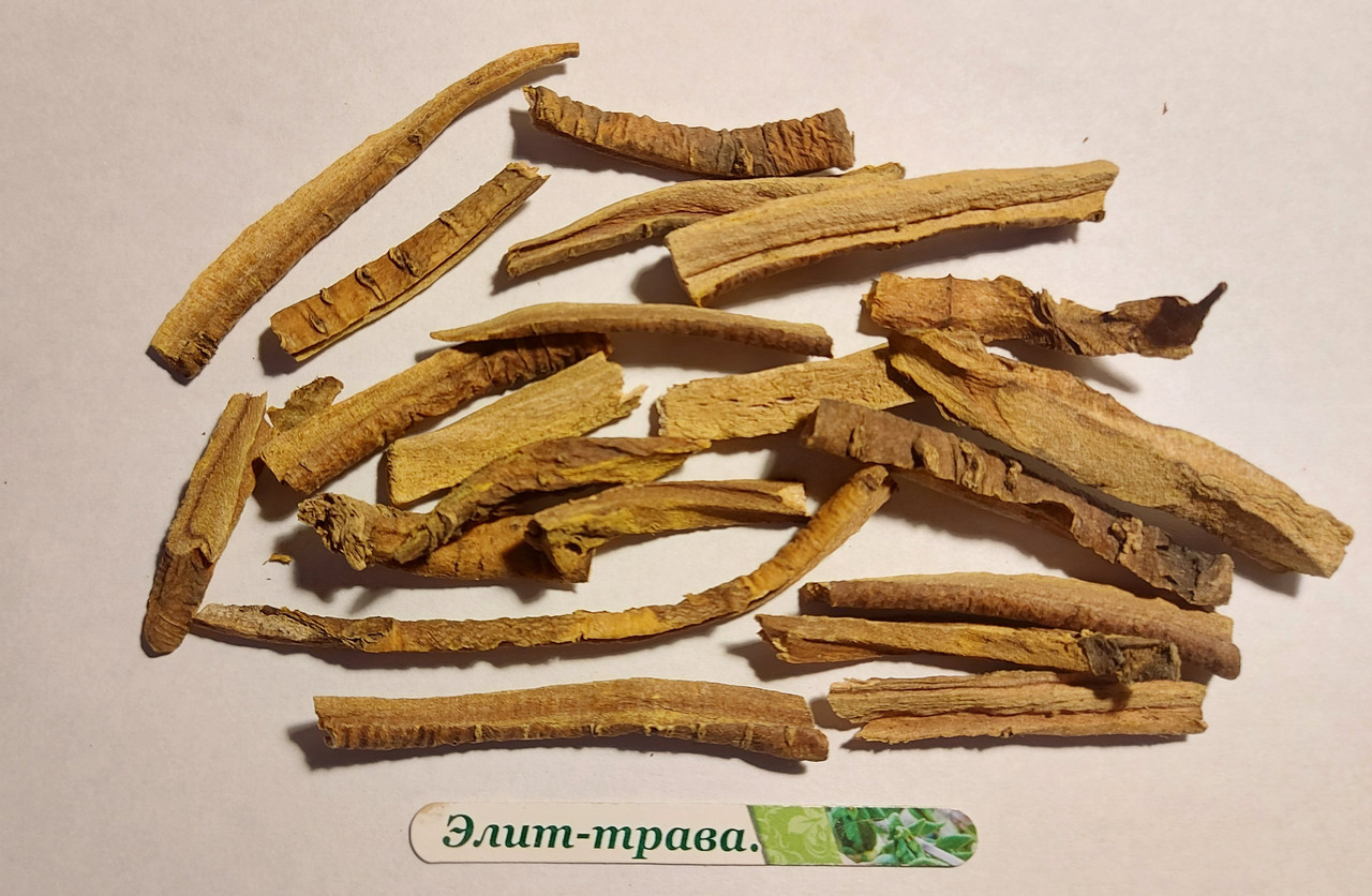Корінь ревеню  50 грам