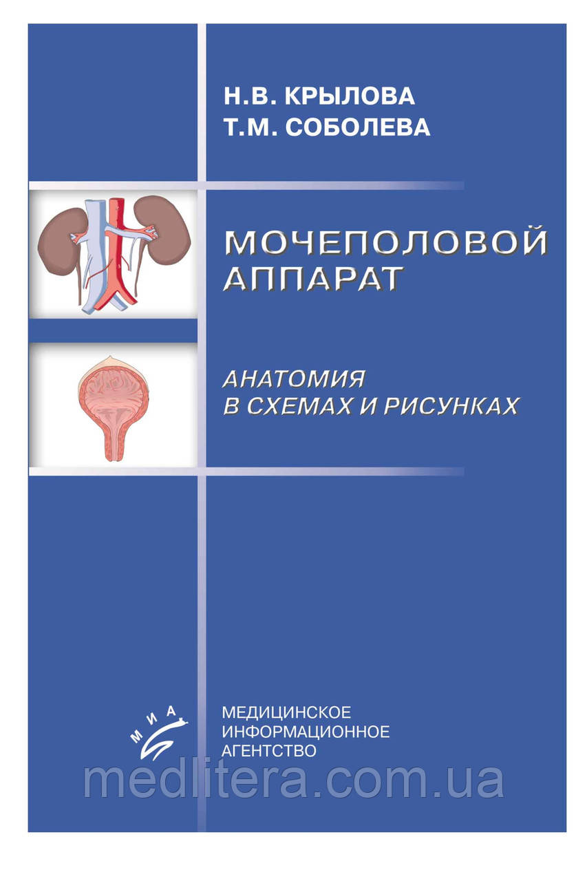 Крилова Н.В. МОЧОЛІВИЙ АППАРАТ. АНАТОМІЯ В СХЕМАХ І РИСУНКАХ