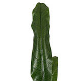 Штучна рослина  Engard Banana Tree , 140 см (DW-08), фото 8