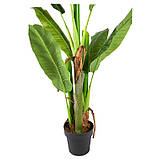 Штучна рослина  Engard Banana Tree , 140 см (DW-08), фото 3