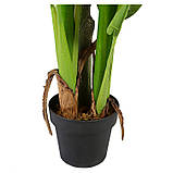 Штучна рослина  Engard Banana Tree , 140 см (DW-08), фото 6