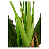 Штучна рослина  Engard Banana Tree , 140 см (DW-08), фото 5