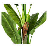 Штучна рослина  Engard Banana Tree , 140 см (DW-08), фото 4