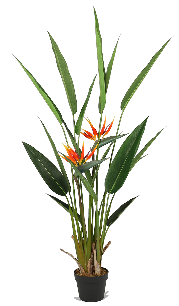 Штучна рослина Engard Strelitzia, 140 см (DW-09), фото 1