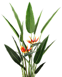 Штучна рослина Engard Strelitzia, 140 см (DW-09), фото 3