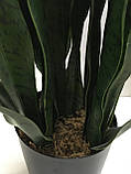 Штучна рослина Engard Sansevieria, 65 см (DW-10), фото 3