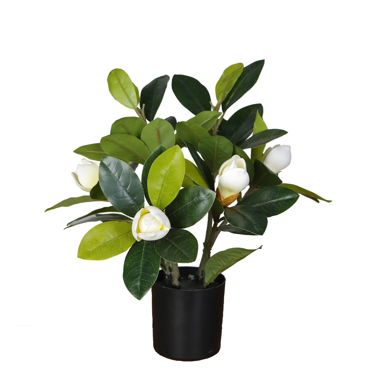 Штучна рослина Engard Magnolia, 40 см (DW-16)