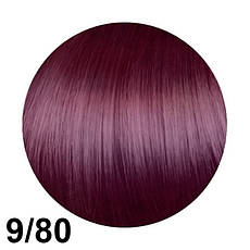 Фарба для волосся Erayba Gamma Фіолетовий Фіолетовий світло-русявий 9/80