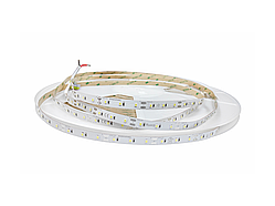 Світлодіодна стрічка 2835-60led-8mm-12V 6W, IP20 тепло білий 3 роки гарантії RISHANG