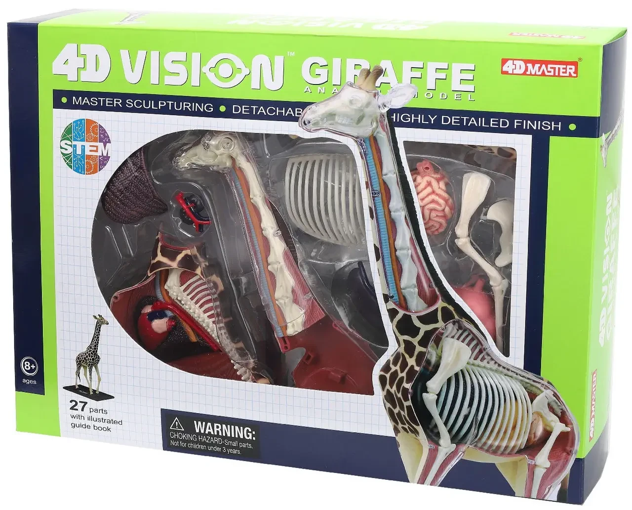 Об'ємна анатомічна модель 4D Master Жираф (FM-622011), фото 1