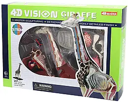 Об'ємна анатомічна модель 4D Master Жираф (FM-622011)