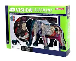 Об'ємна анатомічна модель 4D Master Слон (FM-622037)