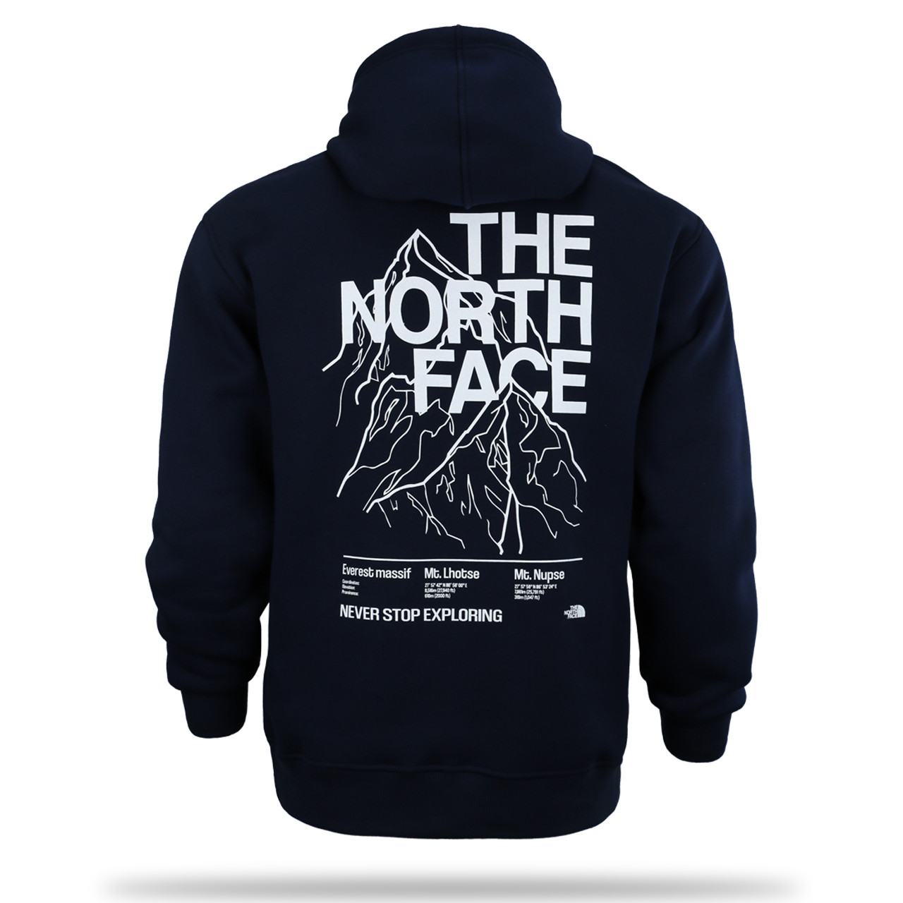 Худі осінь-зима чоловіче т синє з принтом THE NORTH FACE Т-2 DBLU L (Р) 24-501-203