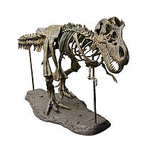 Модель скелета Тиранозавра Рекса 4D 54 деталей 70 см (Esalink)