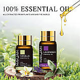 Набір натуральних Ефірних Масел Оригінал 35 шт Premium Essential Oils MAYJAM Подарунок Аромодифузор зволожте, фото 3