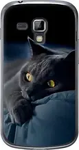Чохол на Samsung Galaxy S Duos s7562 Димчастий кіт "825u-84-851"