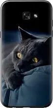 Чохол на Samsung Galaxy A7 (2017) Димчастий кіт "825u-445-851"