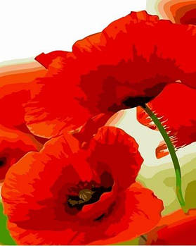 Картина за номерами Маки 30х40 см SS6805 G-Rich