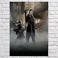 Плакат "Властелин Колец. Эльфы Леголас и Тауриэль, Lord Of The Rings", 85×60см