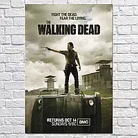 Плакат "Рик Граймс с револьвером, Ходячие Мертвецы, The Walking Dead, TWD", 60×41см