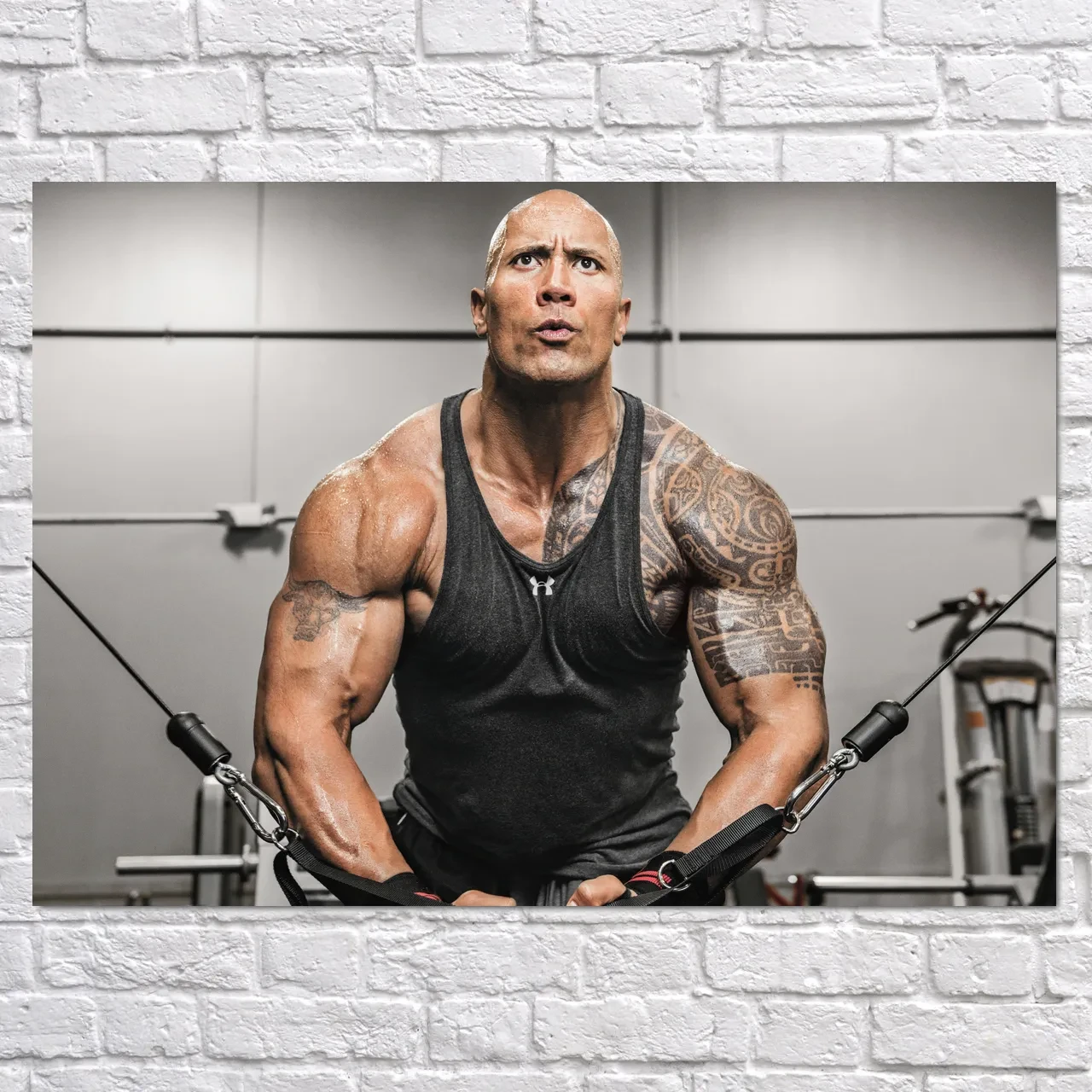 Плакат "Двейн Джонсон (Скеля), Dwayne Johnson (The Rock)", 43×60см