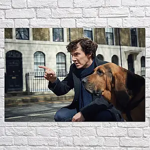 Плакат "Шерлок із псом, Sherlock", 43×60см