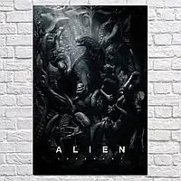 Плакат "Чужий: Заповіт, Alien: Covenant (2017)", 60×43см