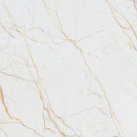 Керамогранит Allore Group Antico Gold Glossy F P Rec 60*60 см белый