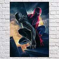 Плакат "Людина-павук 3, Спайдермен та Веном, Spider-Man 3, Venom", 60×43см