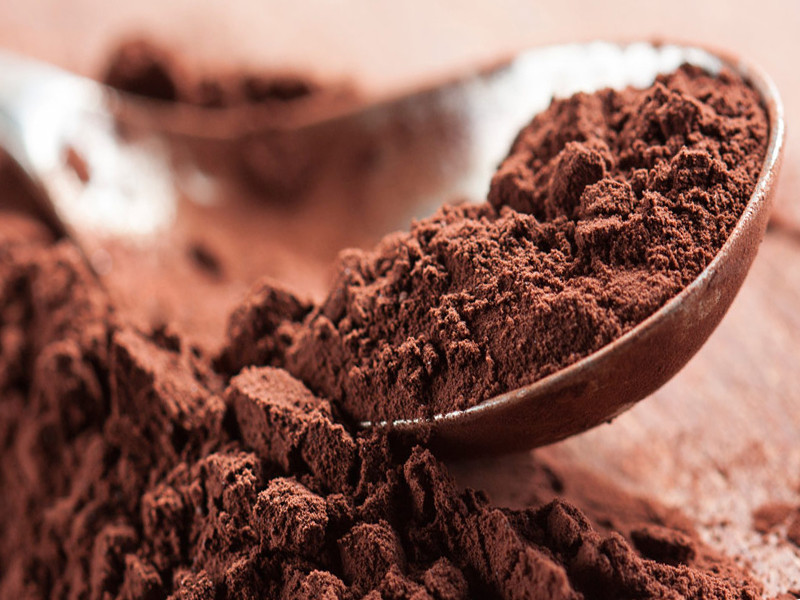 Какао-порошок алкалізований 20-22% "Cacaomill" (Нідерланди) 100 грамів