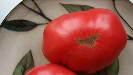 Насіння томату Пень Миру (США) 30 нас, фото 1